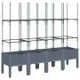 Jardinera con enrejado PP gris 160x40x142,5 cm de , Maceteros y jardineras - Ref: Foro24-367961, Precio: 80,88 €, Descuento: %
