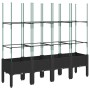 Garten mit schwarzem PP-Gitter 160x40x142,5 cm von , Töpfe und Pflanzgefäße - Ref: Foro24-367963, Preis: 107,96 €, Rabatt: %