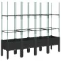 Planter with black PP trellis 160x40x142.5 cm by , Pots and planters - Ref: Foro24-367963, Price: 86,52 €, Discount: %
