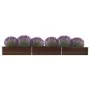 Arriate de jardín de acero galvanizado marrón 480x80x45 cm de vidaXL, Maceteros y jardineras - Ref: Foro24-47066, Precio: 93,...