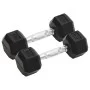 Hanteln 2 Einheiten Gusseisen 8 kg von vidaXL, freies Gewicht - Ref: Foro24-93600, Preis: 44,53 €, Rabatt: %