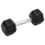 Hanteln 2 Einheiten Gusseisen 8 kg von vidaXL, freies Gewicht - Ref: Foro24-93600, Preis: 44,53 €, Rabatt: %