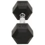 Hanteln 2 Einheiten Gusseisen 8 kg von vidaXL, freies Gewicht - Ref: Foro24-93600, Preis: 44,53 €, Rabatt: %