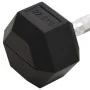 Cast iron dumbbell 22.5 kg by vidaXL, free weight - Ref: Foro24-93609, Price: 81,08 €, Discount: %