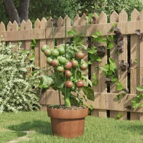 Garden plant supports with 3 rings 5 pcs green steel 45 cm by vidaXL, Trellises and plant supports - Ref: Foro24-319372, Pric...
