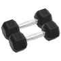 Dumbbells 2 units cast iron 12 kg by vidaXL, free weight - Ref: Foro24-93602, Price: 68,92 €, Discount: %