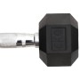 Dumbbells 2 units cast iron 12 kg by vidaXL, free weight - Ref: Foro24-93602, Price: 68,92 €, Discount: %
