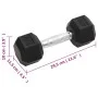 Dumbbells 2 units cast iron 12 kg by vidaXL, free weight - Ref: Foro24-93602, Price: 58,96 €, Discount: %