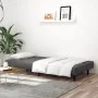 Sofá cama de 2 plazas terciopelo gris oscuro by vidaXL, Sofas - Ref: Foro24-375927, Price: 244,72 €, Discount: %