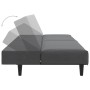 Sofá cama de 2 plazas terciopelo gris oscuro by vidaXL, Sofas - Ref: Foro24-375927, Price: 249,20 €, Discount: %