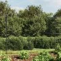 In der Nähe von anthrazitgrauem Draht mit Kabelbinder 2x10 m. von vidaXL, Zaunpaneele - Ref: Foro24-154310, Preis: 77,20 €, R...