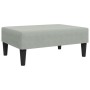 Zweiplätziges Schlafsofa mit Kissen und Hocker aus hellem grauem Samt. von vidaXL, Sofas - Ref: Foro24-3216219, Preis: 332,29...