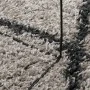 Moderne Teppich mit langem, beigem und anthrazitfarbenem Fell Ø 100 cm. von vidaXL, Teppiche - Ref: Foro24-375398, Preis: 23,...