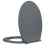 Toilet lid and seat with soft close, oval-shaped, gray. by vidaXL, Toilet and bidet seats - Ref: Foro24-145816, Price: 27,29 ...