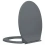 Toilet lid and seat with soft close, oval-shaped, gray. by vidaXL, Toilet and bidet seats - Ref: Foro24-145816, Price: 26,72 ...
