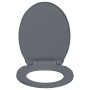 Toilet lid and seat with soft close, oval-shaped, gray. by vidaXL, Toilet and bidet seats - Ref: Foro24-145816, Price: 27,29 ...