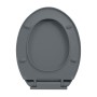 Ovaler grauer Soft-Close-Toilettensitz und -deckel von vidaXL, Toiletten- und Bidetsitze - Ref: Foro24-145816, Preis: 27,29 €...