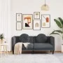 Zweiplätziges Sofa mit dunkelgrauen Samtkissen. von vidaXL, Sofas - Ref: Foro24-372633, Preis: 195,21 €, Rabatt: %