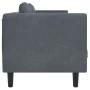Zweiplätziges Sofa mit dunkelgrauen Samtkissen. von vidaXL, Sofas - Ref: Foro24-372633, Preis: 195,21 €, Rabatt: %