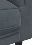 Zweiplätziges Sofa mit dunkelgrauen Samtkissen. von vidaXL, Sofas - Ref: Foro24-372633, Preis: 195,21 €, Rabatt: %