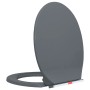 Gray oval quick-release soft-closing toilet seat by vidaXL, Toilet and bidet seats - Ref: Foro24-145817, Price: 24,94 €, Disc...