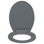Gray oval quick-release soft-closing toilet seat by vidaXL, Toilet and bidet seats - Ref: Foro24-145817, Price: 24,94 €, Disc...