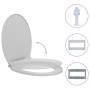 Toilet lid and seat with soft close, light gray oval. by vidaXL, Toilet and bidet seats - Ref: Foro24-145814, Price: 25,01 €,...