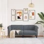 Dark gray velvet 2-seater sofa by vidaXL, Sofas - Ref: Foro24-372576, Price: 203,38 €, Discount: %