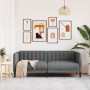 2-Sitzer-Sofa aus dunkelgrauem Stoff von vidaXL, Sofas - Ref: Foro24-372605, Preis: 244,71 €, Rabatt: %
