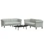Light gray velvet 2-piece sofa set by vidaXL, Sofas - Ref: Foro24-3209219, Price: 466,70 €, Discount: %