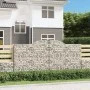 Gabion baskets 30 pcs arch shape iron 300x50x140/160 cm by vidaXL, Pots and planters - Ref: Foro24-3146753, Price: 4,00 €, Di...