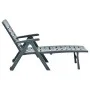 Tumbona plegable de plástico verde by vidaXL, Loungers - Ref: Foro24-48755, Price: 131,59 €, Discount: %