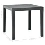 Gartentisch mit 2 anthrazitgrauen Kunststoffbänken von vidaXL, Gartensets - Ref: Foro24-48778, Preis: 136,31 €, Rabatt: %