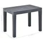 Gartentisch mit 2 anthrazitgrauen Kunststoffbänken von vidaXL, Gartensets - Ref: Foro24-48778, Preis: 136,31 €, Rabatt: %