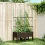Jardinera con enrejado PP marrón 80x40x142,5 cm by vidaXL, Pots and planters - Ref: Foro24-367955, Price: 51,29 €, Discount: %