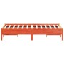 Bettgestell aus massivem, wachsbraunem Kiefernholz, 120 x 190 cm von vidaXL, Betten und Lattenroste - Ref: Foro24-842725, Pre...