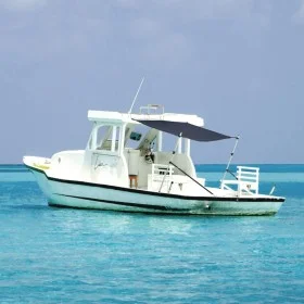 Markise T-Top Verlängerung in Marineblau 170x208x(115-183) cm von vidaXL, Aufbewahrungsabdeckungen für Boote - Ref: Foro24-94...