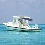 Toldo T-Top extensión azul marino 170x208x(115-183) cm de vidaXL, Cubiertas para almacenamiento de barcas - Ref: Foro24-94866...