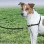 PetSafe Easy Walk Dog Harness Black S by PetSafe, Harnesses and collars for pets - Ref: Foro24-428425, Price: 19,03 €, Discou...