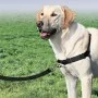 PetSafe Easy Walk Hundegeschirr Schwarz L von PetSafe, Geschirre und Halsbänder für Haustiere - Ref: Foro24-428427, Preis: 23...