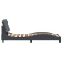 Dark gray velvet bed frame with LED lights 90x190 cm by vidaXL, Beds and slatted bases - Ref: Foro24-3213826, Price: 161,69 €...