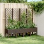 Planter with brown PP trellis 160x40x142 cm by vidaXL, Pots and planters - Ref: Foro24-367935, Price: 153,10 €, Discount: %