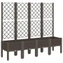 Planter with brown PP trellis 160x40x142 cm by vidaXL, Pots and planters - Ref: Foro24-367935, Price: 150,58 €, Discount: %