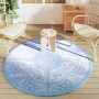 Babyblauer PP-Außenteppich Ø160 cm von vidaXL, Outdoor-Protektoren - Ref: Foro24-368499, Preis: 37,62 €, Rabatt: %