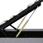 Hydraulisches Bett mit Stauraum und hellgrauem LED-Stoff 180x200 cm von vidaXL, Betten und Lattenroste - Ref: Foro24-285581, ...