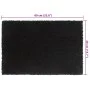 Felpudos 2 unidades fibra de coco negro 40x60 cm de vidaXL, Felpudos - Ref: Foro24-155571, Precio: 31,45 €, Descuento: %