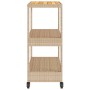Bar cart 3 levels PE rattan and solid beige acacia wood by vidaXL, Kitchen and dining carts - Ref: Foro24-368725, Price: 167,...