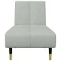Light gray velvet 2-piece sofa set by vidaXL, Sofas - Ref: Foro24-3216295, Price: 419,04 €, Discount: %