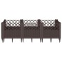 Planter with pegs PP brown 123.5x43.5x43.5 cm by vidaXL, Pots and planters - Ref: Foro24-368016, Price: 55,72 €, Discount: %