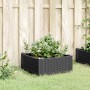 Pflanzgefäß mit Stiften PP schwarz 42,5x42,5x28,5 cm von vidaXL, Töpfe und Pflanzgefäße - Ref: Foro24-368002, Preis: 27,94 €,...